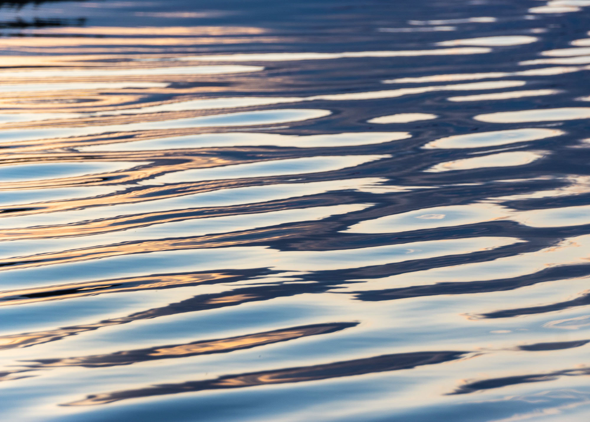 Peaceful Paddle